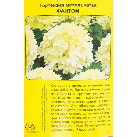 Гортензия метельчатая Фантом h40 см гортензия метельчатая жемчужина фестиваля ø17 h20 см