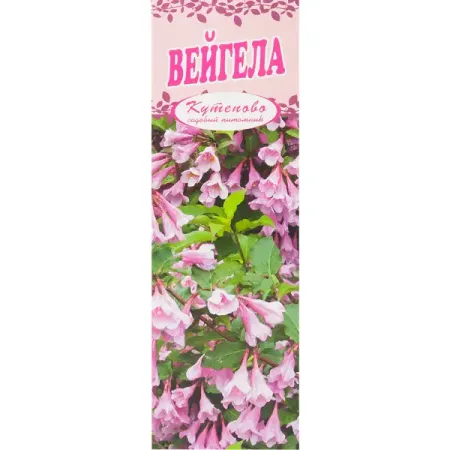 Вейгела цветущая, в коробке