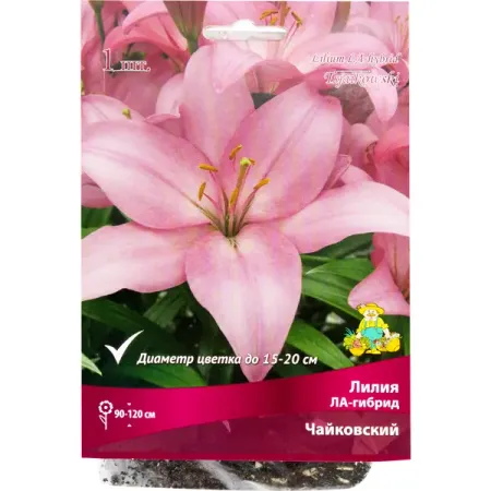 Лилия ЛА-гибрид «Чайковский», размер луковицы 14/16 тюльпан дарвинов гибрид ред импрешн луковицы 10 11