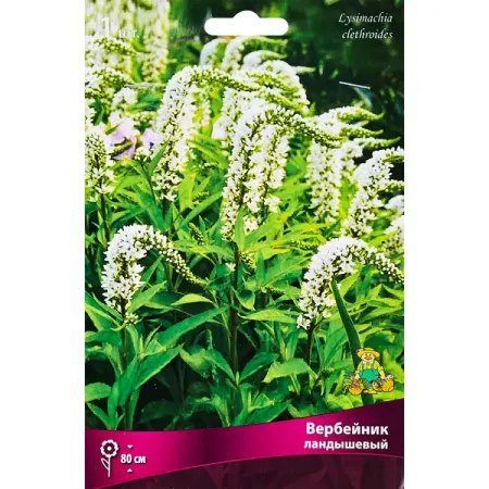 Вербейник Ландышевый 2 шт автомобильные наклейки на зеркало заднего вида декоративные наклейки для honda mugen civic insight typer xr v vtec ur v si rr city fit cr v dohc pilot