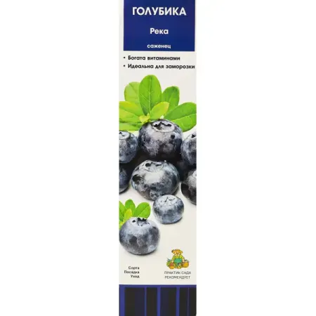 Голубика высокорослая Река короб h35 см