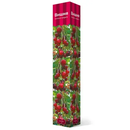 Вишня Тургеневка коробка h89 см батончик pomatti марципановый вишня в темном шоколаде 50 г