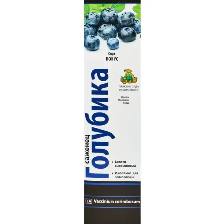 Голубика высокорослая Бонус короб h35 см