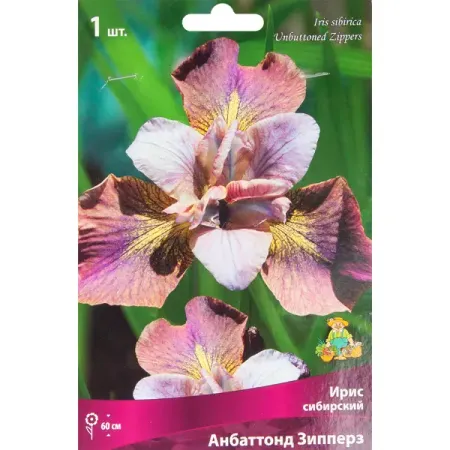 Ирис сибирский Анбаттонд Зипперз 5 шт партия оригинальные новые релейки φ hf36fd 012 12 в постоянного тока нормально открытых 4 контактных 10 а