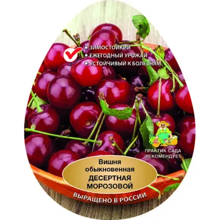 Вишня Десертная сетке h180 см глицин форте 500мг вкус вишни витамир таблетки 1180мг 30шт
