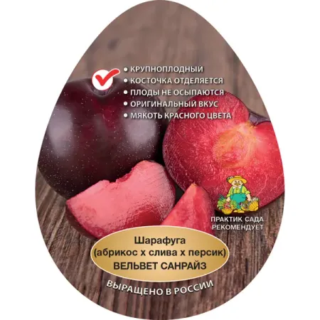 Шарафуга Вельвет Санрайз h80 см для дивана mtuove вельвет