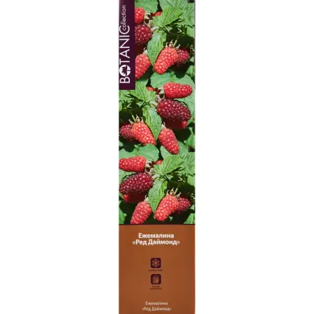 Ежемалина Ред Даймонд туба h30 см искусственные красные ягоды holly