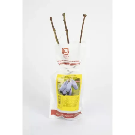 Жимолость съедобная Промо микс h37 см