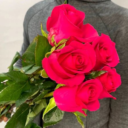 Букет живых цветов ЦВЕТЫ ДЛЯ ВАС Букет из 5 розовых роз (Эквадор) 60 см