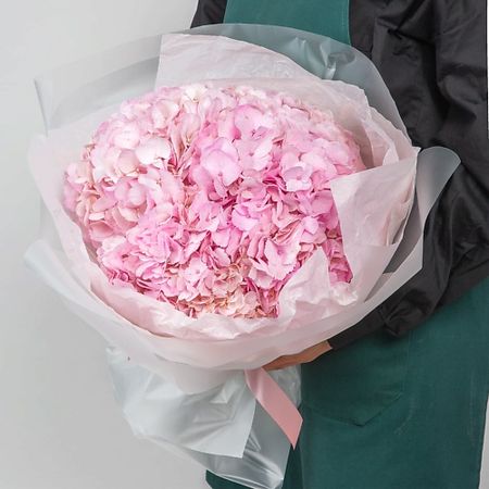 Букет живых цветов STUDIO FLORISTIC Букет из Гортензий «Зайчик»