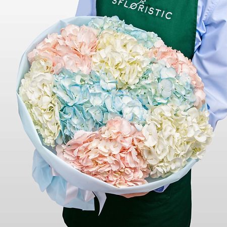 Букет живых цветов STUDIO FLORISTIC Букет из разноцветных Гортензий «Сладкая вата» вата хирургическая стерильная амелия 100 гр