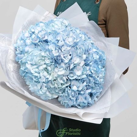 Букет живых цветов STUDIO FLORISTIC Букет из синих Гортензий «Облачко» из 10 синих латексных шаров 10 дюймов