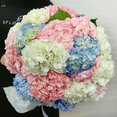 Букет живых цветов STUDIO FLORISTIC Букет из разноцветных Гортензий «Воздушный шар»