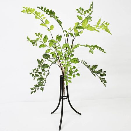 Куст садовый Конэко-О зеленый 60 см куст самшита конэко о 37215 21 см