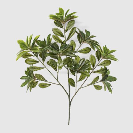 Ветка Конэко-О лучелистной шеффлеры 43 см