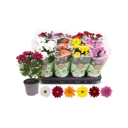 Хризантема Классик микс ø9 h22 см искусственные ы laurelchow шелк хризантема маргаритка кореопсис гербера