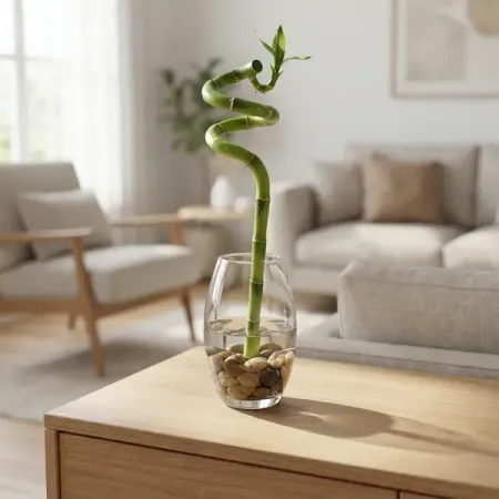 Бамбук Спираль ø5 h40 см спираль внутриматочная юнона био т ag