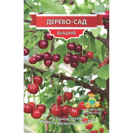Вишня Дерево сад Жуков/ Шоколадница/Десертная Морозовой h150 см глицин форте 500мг вкус вишни витамир таблетки 1180мг 30шт