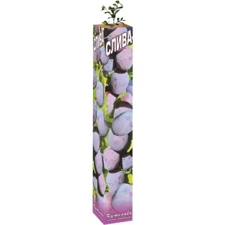 Слива 9x60 см силиконовые фильтры для слива 6 шт