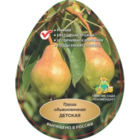 Груша Детская h90 см мюсли каждый день запеченные яблоко груша 250 г