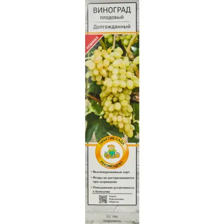 Виноград плодовый Долгожданный короб h80 см