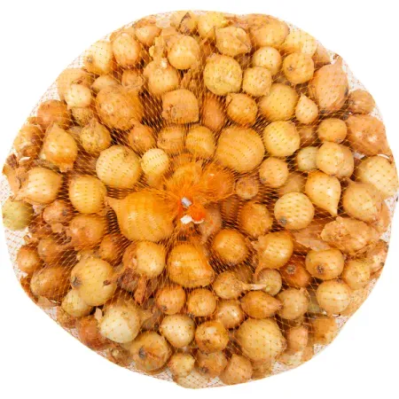 Лук-севок «Штуттгартер», диаметр луковицы 21-24 мм, 0.5 кг окуляр микроскопа микрометр линейка сетки диаметр окулярной сетки 19 20 24 мм