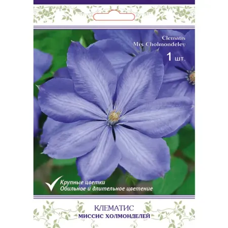 Клематис крупноцветковый Миссис Холмонделей h15 см фигурки миссис клауса для рождественской елки