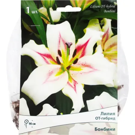 Лилии ОТ-гибриды «Бонбини», размер луковицы 14/16, 1 шт. лилии азиатские блэк аут   луковицы 14 16 1 шт