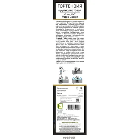 Гортензия крупнолистовая Ю Энд Ми Мисс Саори ø5 h37 см