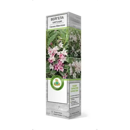 Вейгела цветущая Санни Фентези ø5 h37 см