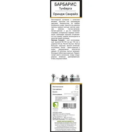 Барбарис Тунберга Ориндж Санрайз ø5 h37 см