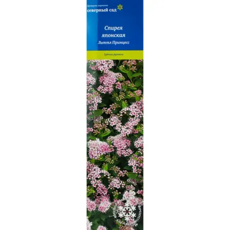 Спирея японская h100 см фатсия японская ø17 h45 см