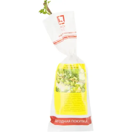 Крыжовник Уральский изумруд h40 см минералов qianchuan изумруд кварц кристаллы