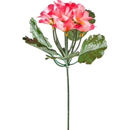 Букет ДОМАШНЯЯ КУХНЯ фиалка, в ассортименте