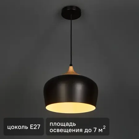 Светильник подвесной KREAFORTA Omolon цвет черный