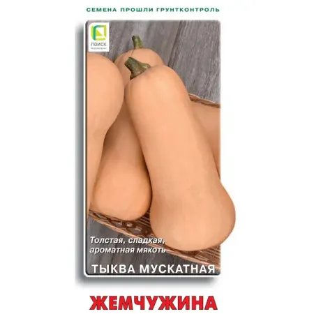 Тыква мускатная Жемчужина 10 шт. семена гавриш тыква барбара f1 мускатная 5 шт саката