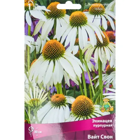 Эхинацея пурпурная Вайт Свон фиточай эхинацея пурпурная трава 50 гр