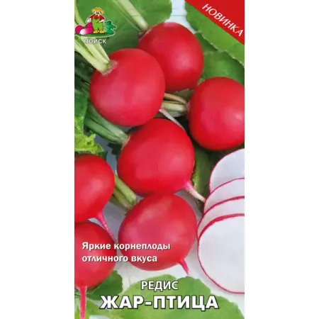 Семена овощей Поиск редис Жар-птица елочная игрушка птица 10x8 5 красный
