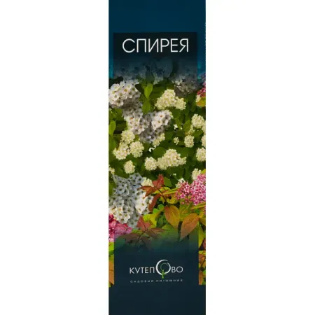 Спирея японская Широбана фатсия японская ø17 h45 см