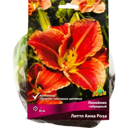 Лилейник гибридный «Литтл Анна Роза», 1 шт. комплект фольгированных шаров disney frozen эльза анна