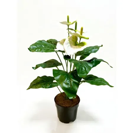 Искусственное растение Антуриум Макс ø13 h45 см белый лазолван макс капс пролонг 75 мг 10