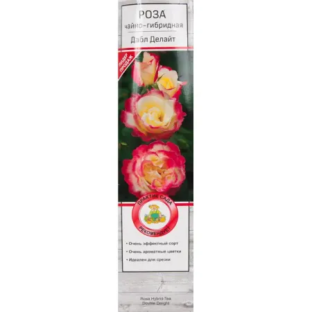 Розы чайно-гибридные «Дабл Делайт»