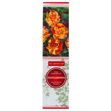 Роза флорибунда Пападжина в тубе Поиск Инвест