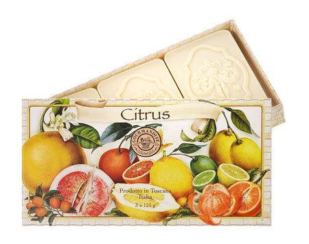 Gourmandise Savon Parfume Citrus Set