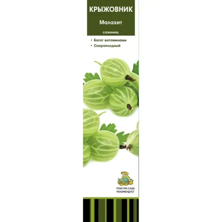 Крыжовник Малахит коробка h39 см камни малахит бирюза