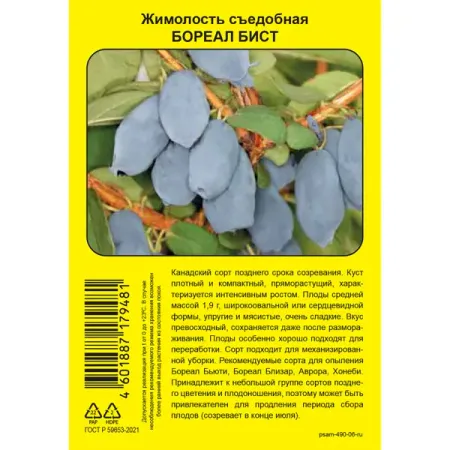 Жимолость съедобная Бореал Бист пакет h37 см
