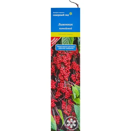 Лимонник китайский Северный Сад «Садовый №1» китайский новогодний кулон красный
