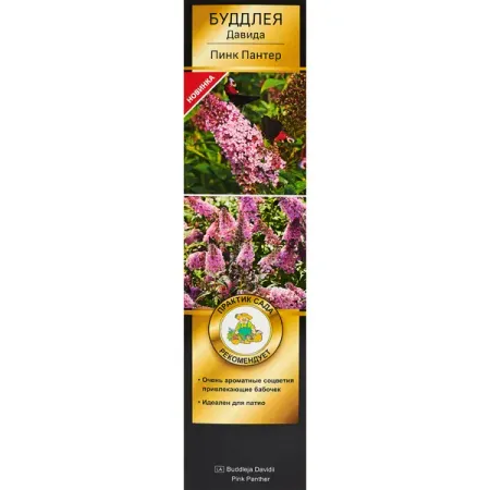 Буддлея Давида Пинк Пантер ø5 h35 см nubecom трафареты для росписи бабочек