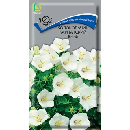 Семена цветов колокольчик карпатский белый латунный буддийский колокольчик ваджра