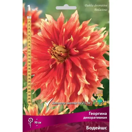 Георгина декоративная Бодейшс луковица I greathope washi tape декоративная лента с ами и листьями 10 м